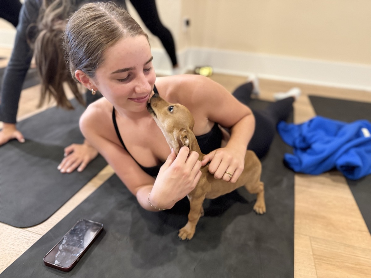 A puppy kisses a student lying on her mat